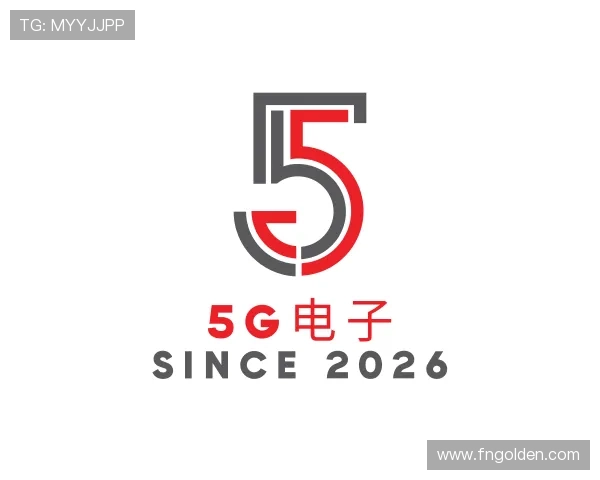 发现5G电子